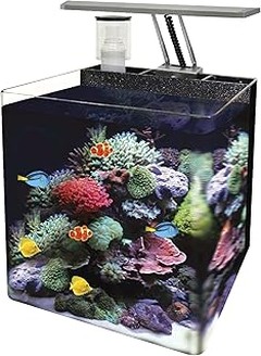 Los mejores accesorios para optimizar tu acuario marino