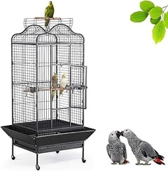 Mejora el bienestar de tu loro con estos accesorios imprescindibles
