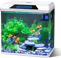 Alternativas ideales a los acuarios para peces de agua fría