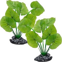 Alternativas sencillas a los acuarios plantados tradicionales