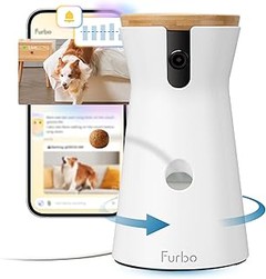 Alternativas efectivas a las cámaras para perros: ¿Qué elegir?