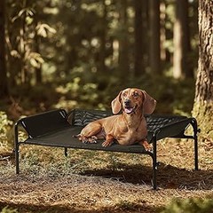 Mejores alternativas a las camas elevadas para mascotas con problemas de articulaciones