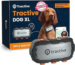 Opciones efectivas para rastrear a tu perro sin collares GPS