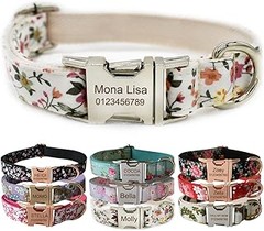 Opciones Innovadoras a los Collares Personalizados para Mascotas