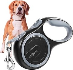 Opciones efectivas a las correas extensibles para pasear a tu perro