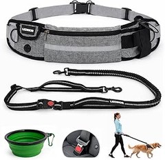 Alternativas a las correas manos libres para perros: opciones y usos