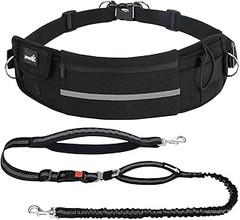 Alternativas a las correas tradicionales para perros: opciones innovadoras