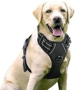 Alternativas efectivas a los arneses para perros grandes