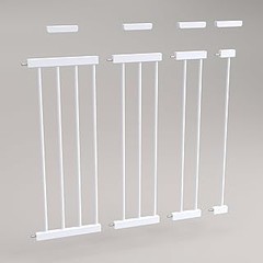 Alternativas a las Puertas para Mascotas en Pared: Opciones Prácticas