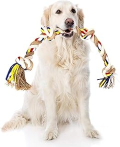 Ventajas de usar juguetes de cuerda para perros
