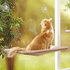 Descubre los beneficios de usar hamacas para gatos
