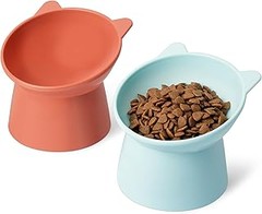 Comederos para gatos mayores y con problemas de movilidad