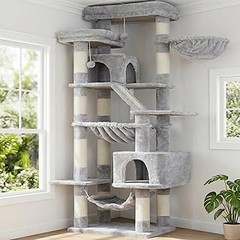 Estrategias para que tu gato se sienta cómodo en su nueva torre