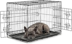 Técnicas para acostumbrar a tu perro a la jaula fácilmente
