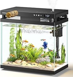 Guía completa para configurar tu acuario pequeño desde cero