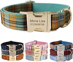 Guía para elegir un collar personalizado para tu mascota
