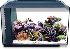 Guía para elegir el acuario marino ideal para ti