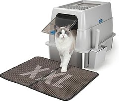Consejos para elegir el arenero cerrado ideal para tu gato