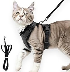 Guía para Elegir el Arnés Ideal para tu Gato
