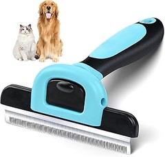Guía para elegir el mejor cepillo para tu perro