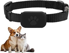 Guía para elegir el mejor localizador GPS para mi gato