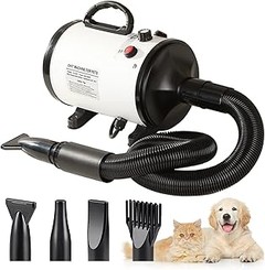 Guía para elegir el mejor secador para tu mascota