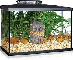Guía para Elegir el Tamaño Perfecto de Acuario para Peces de Agua Fría