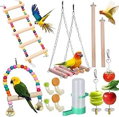 Guía para elegir los mejores accesorios para la jaula de tu mascota