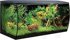 Guía paso a paso para instalar tu acuario con mueble correctamente