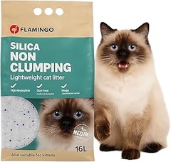 Guía para adaptar a tu gato a la arena de sílice