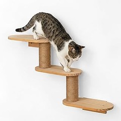 Mantén limpias tus estanterías para gatos: técnicas y cuidados