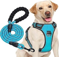 Mantenimiento y limpieza de arneses para perros grandes