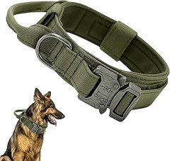 Guía para mantener y limpiar collares para perros
