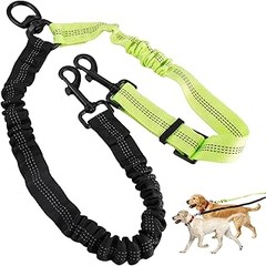 Mejores Prácticas para Mantener y Limpiar Correas Dobles para Perros