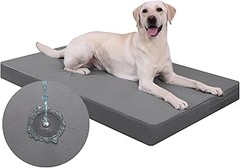 Consejos prácticos para limpiar y cuidar el colchón de tu perro
