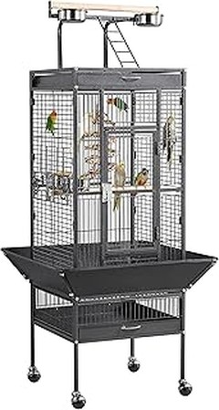 Guía práctica para limpiar y mantener la jaula de tu loro