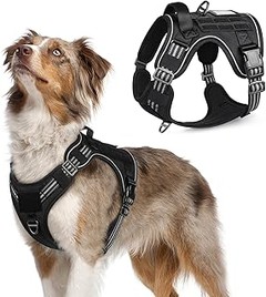 Instrucciones para Poner un Arnés Antitirones a tu Perro