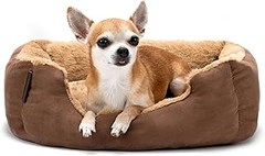 Cojines Ortopédicos y Tradicionales: ¿Cuál Es Mejor para Tu Mascota?