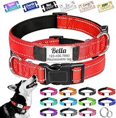 ¿Cuál es el mejor collar personalizado para tu mascota?
