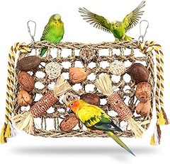 Juguetes para aves grandes vs. juguetes para aves pequeñas: ¿cuáles elegir?