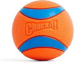 Pelotas de goma o pelotas de tela para perros: ¿Cuál elegir?
