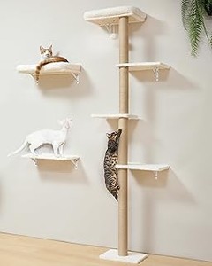 Rascadores de Pared o de Suelo: ¿Cuál es mejor para tu gato?