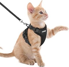 Cómo Ayudar a tu Gato a Acostumbrarse al Arnés de Forma Fácil