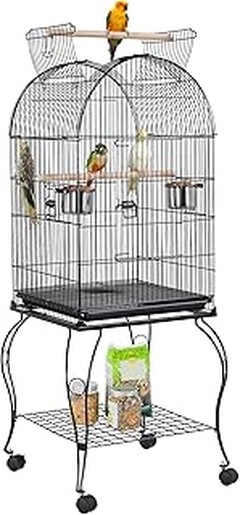 ¿Qué factores considerar al elegir una jaula para loros?