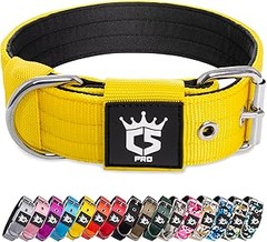 ¿Cuánto deberías gastar en un collar para perros? Guía de precios
