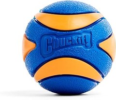 Cómo mantener en buen estado los juguetes resistentes para perros