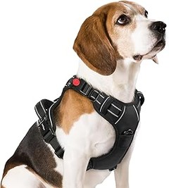 Las Mejores Tiendas para Comprar Arneses Antitirones para Perros