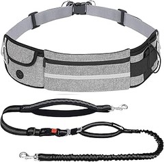 Mejores Tiendas para Comprar Correas Manos Libres para Perros