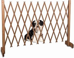 Mejores Lugares para Comprar Puertas para Perros y Precios Actualizados