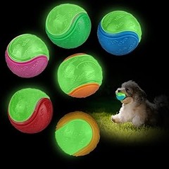 Dónde Comprar Pelotas para Perros a Buen Precio